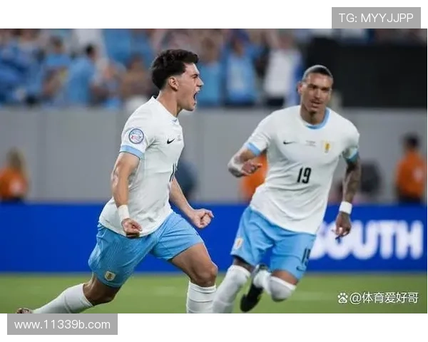 巴西秘鲁直播:南美双雄激战,绿茵场上的巅峰对决